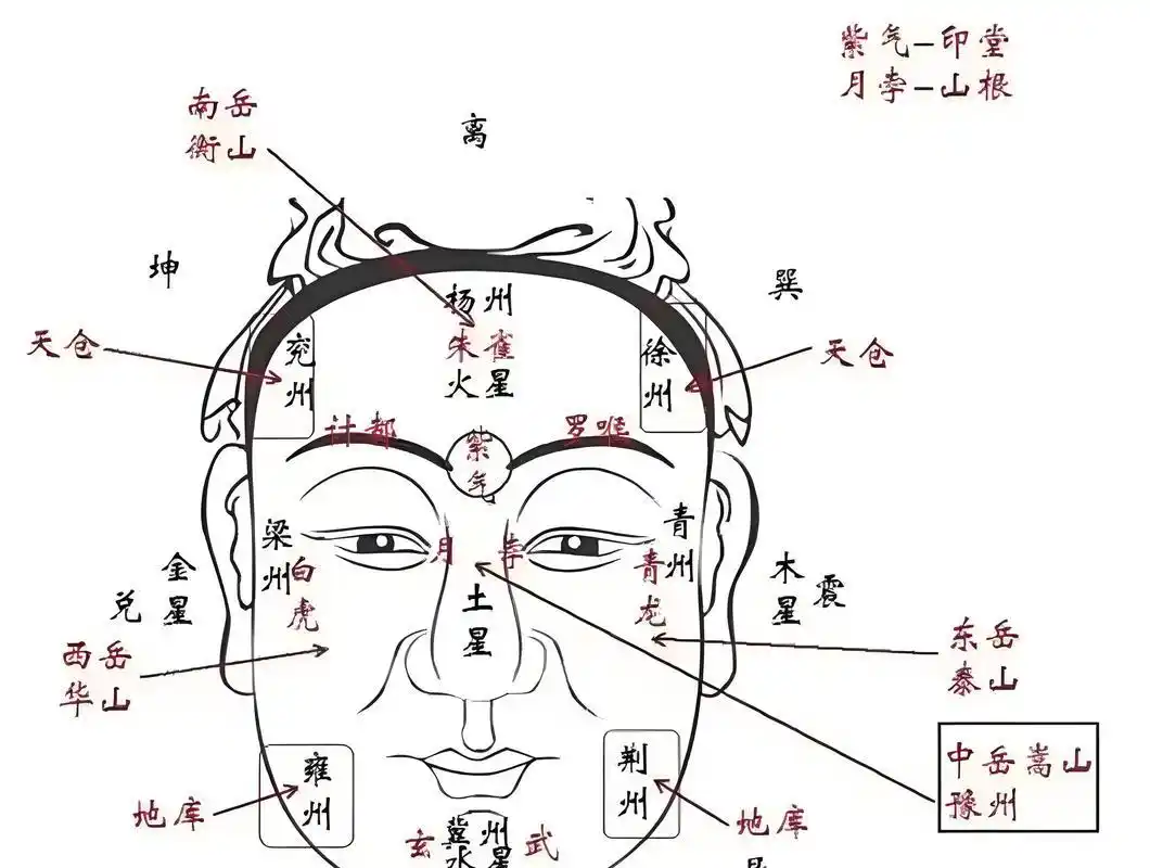 谢楠旺夫案例分析_旺夫女人命理特征_旺夫面相的女明星