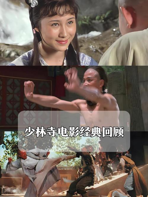 少林三十六房在哪里看？重温经典功夫片